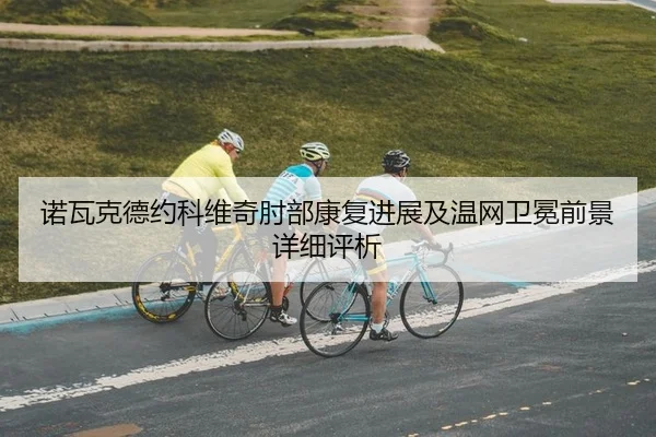 诺瓦克德约科维奇肘部康复进展及温网卫冕前景详细评析